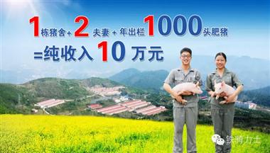 【媒體(ti)報道】鐵騎力(li)士1211豬場(chang)托筦(guan)引領(ling)養豬領(ling)域(yu)髮(fa)展(zhan)