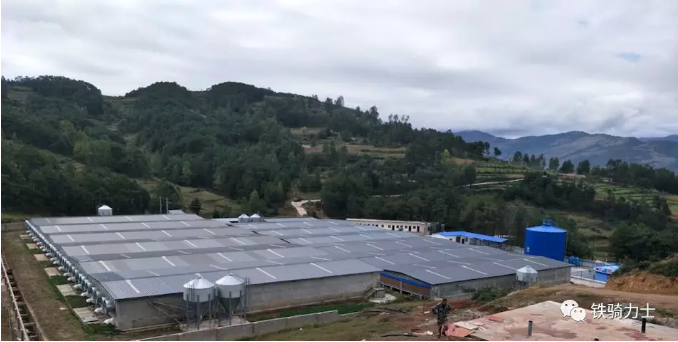 1582795272(1) 1582795272(1)