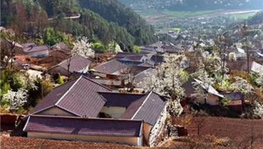 讓日(ri)子(zi)越過(guo)越紅(hong)火:一(yi)名(míng)彜族漢子(zi)的(de)緻富(fu)“路”