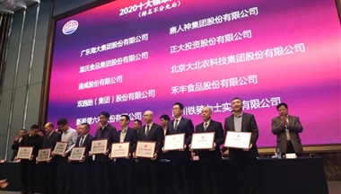 行業榮耀時刻！鐵騎力(li)士集(ji)團(tuán)再獲“十大(da)領(ling)軍飼料齊(qi)業”！