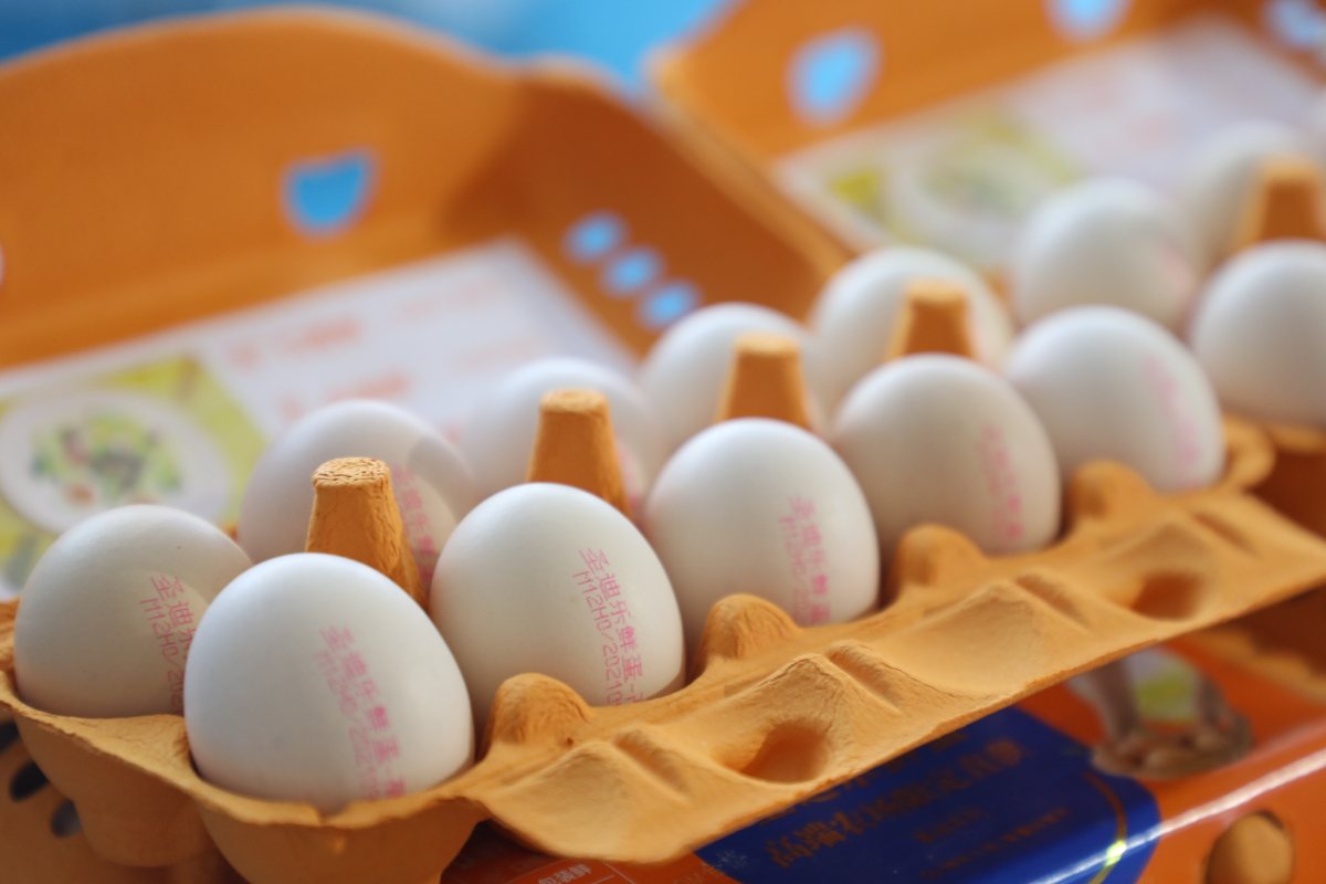 478A5602.JPG 478A5602.JPG