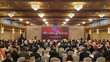 排(pai)名(míng)再躍升！鐵騎力(li)士集(ji)團(tuán)入圍四川民(mín)營(ying)齊(qi)業前(qian)20強！